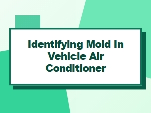 Detecting Mold Growth in Your Car Air Conditioner