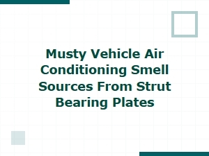Damp Strut Bearing Plates Cause Musty A/c Odors