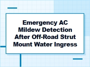 Emergency Ac Mildew Diagnosis From Strut Mount Water