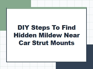 A Diy Guide to Find Hidden Mildew Near Strut Mounts