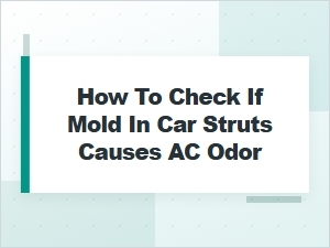 How to Check for Mold in Car Struts Causing Ac Odor