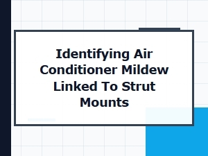 Detecting Air Conditioner Mildew From Strut Mounts