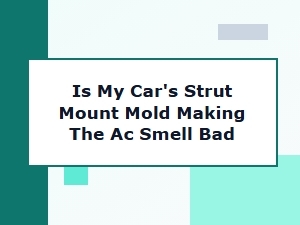 Investigating a Moldy Strut Mount's Impact on Ac Smell
