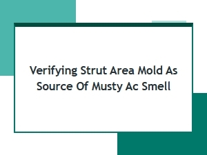 Verify the Strut Area Mold for Musty Ac Odor