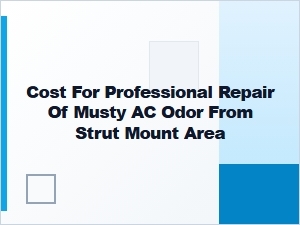 Professional Repair Cost for Musty Ac Odor