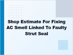 Diagnosing Ac Odors Related to Strut Seal Leaks